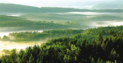 塞罕壩成世界生態(tài)文明典范