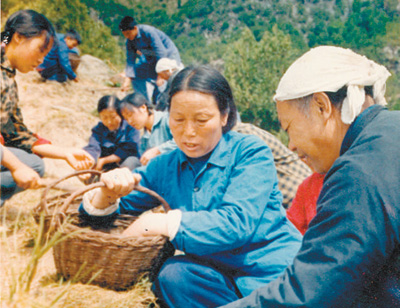 1981年9月，申紀(jì)蘭參加西溝村植樹造林活動。 　　資料照片