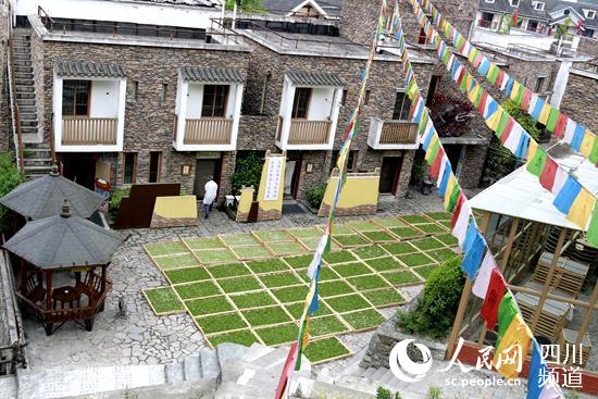 汶川縣映秀鎮(zhèn)“茶祥子”茶坊正在曬茶。（王波 攝）