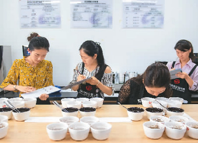 圖為在云南省普洱市云南國際咖啡交易中心，咖啡質(zhì)量品鑒師在給咖啡樣品打分。 　　新華社記者 胡 超攝