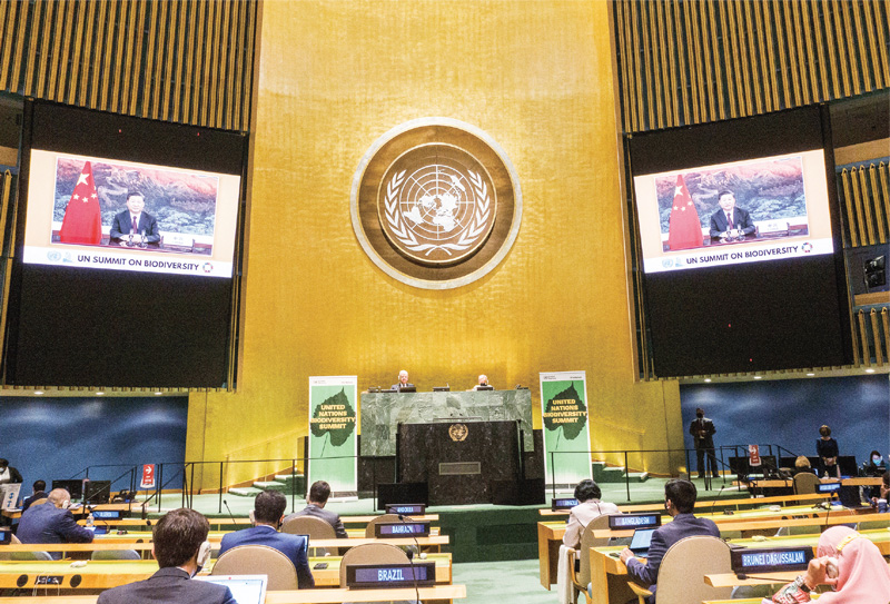 2020年9月30日，國(guó)家主席習(xí)近平在聯(lián)合國(guó)生物多樣性峰會(huì)上通過(guò)視頻發(fā)表重要講話。 新華社發(fā)