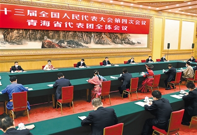 3月7日，中共中央總書記、國家主席、中央軍委主席習近平參加十三屆全國人大四次會議青海代表團的審議。 新華社記者 李濤 