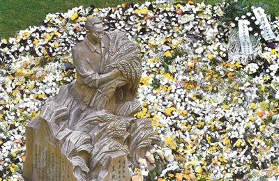 西南大學(xué)校園內(nèi)的袁隆平院士塑像被鮮花圍繞。中新社記者 陳超 攝