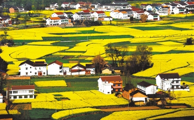 不忘初心,砥礪奮進(jìn),團(tuán)結(jié)帶領(lǐng)全黨全軍全國(guó)各族人民,堅(jiān)持和發(fā)展中國(guó)特色社會(huì)主義,以巨大的政治勇氣和強(qiáng)烈的責(zé)任擔(dān)當(dāng),統(tǒng)籌推進(jìn)