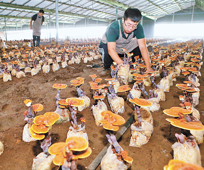 推動(dòng)全球經(jīng)濟(jì)可持續(xù)發(fā)展的中國(guó)方案，體現(xiàn)了完善全球治理體系、促進(jìn)世界和平發(fā)展的中國(guó)擔(dān)當(dāng)