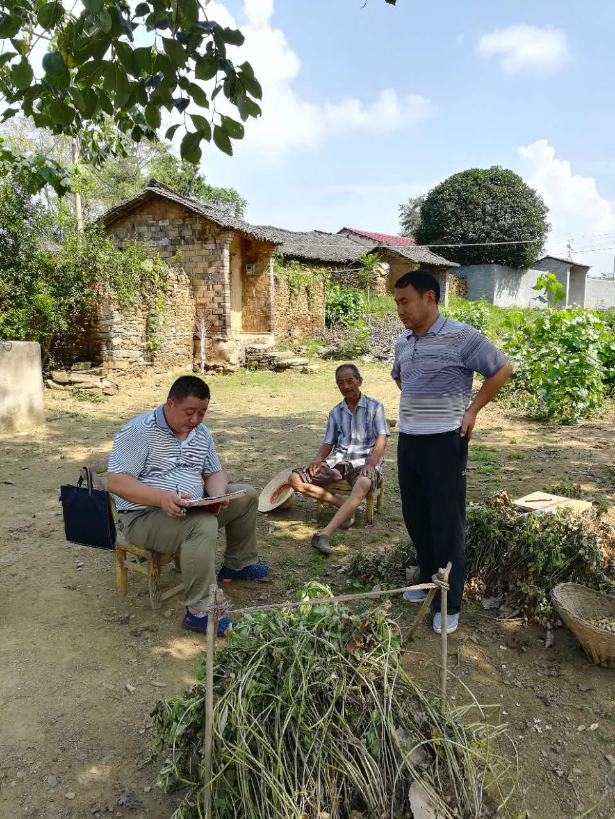 對照建檔立卡貧困戶檔案中記錄的幫扶措施實地核查貧困戶艾蒿種植情況