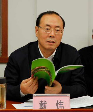 戴煒 （資料圖）