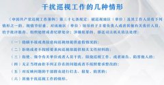 【《條例》修訂背后的全面從嚴(yán)治黨故事】  這些干擾、妨礙巡視巡察的情形必須  嚴(yán)肅處理