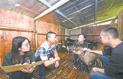 圖為福建省閩侯縣大湖鄉(xiāng)紀(jì)檢干部向建檔立卡貧困戶楊珍（右二）了解幫扶責(zé)任人履職情況。陳新星 攝