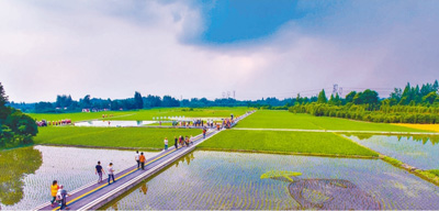 市民在四川省成都市天府綠道游覽觀光。 　　王 歡攝