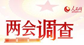 人民網(wǎng)開(kāi)展2019年度“兩會(huì)調(diào)查”  正風(fēng)反腐和依法治國(guó)最受關(guān)注