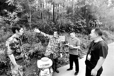 圖為貴州省錦屏縣紀(jì)檢監(jiān)察干部到林區(qū)一線(xiàn)開(kāi)展全方位監(jiān)督檢查。楊函祥 攝