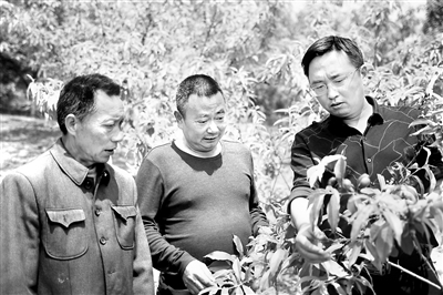 圖為李潤生（右）正在產(chǎn)業(yè)園查看桃子長勢。