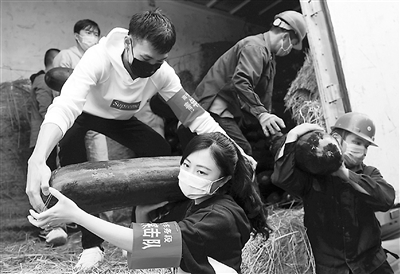 在統(tǒng)籌推進(jìn)疫情防控和經(jīng)濟(jì)社會發(fā)展工作中，在黨的領(lǐng)導(dǎo)下，廣大黨員干部挺身而出、擔(dān)當(dāng)奉獻(xiàn)。圖為廣西南寧車務(wù)段青年黨員正在搬運(yùn)支援湖北的物資。 新華社記者 陸波岸 攝