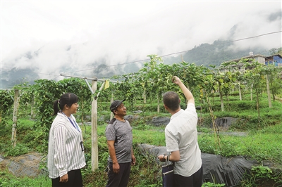 云南省福貢縣紀(jì)委監(jiān)委汲取兩任縣扶貧辦主任落馬教訓(xùn)，把扶貧領(lǐng)域項(xiàng)目資金的使用情況作為監(jiān)督重點(diǎn)，確保扶貧資金發(fā)揮應(yīng)有作用。圖為近日，該縣紀(jì)委監(jiān)委干部前往鹿馬登鄉(xiāng)布拉底村了解東西部扶貧協(xié)助項(xiàng)目資金使用情況。李京 攝