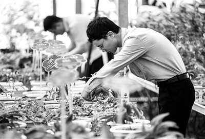 中國三峽集團認真落實中央關(guān)于“抗疫穩(wěn)崗擴就業(yè)”專項行動工作要求，積極招錄高校應(yīng)屆畢業(yè)生，并向湖北地區(qū)傾斜。目前，已錄用高校應(yīng)屆畢業(yè)生1744人，比去年增加兩倍多。圖為近日，三峽集團長江珍稀植物研究所新入職的應(yīng)屆畢業(yè)生在溫室育苗棚內(nèi)觀察新引種植物的生長情況。 新華社發(fā)（向紅梅 攝）