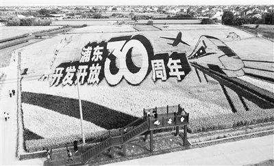 近日，上海市浦東新區(qū)惠南鎮(zhèn)海沈村地鐵16號(hào)線(xiàn)惠南東站旁，“浦東開(kāi)發(fā)開(kāi)放30周年”巨幅稻田畫(huà)吸引不少游客前來(lái)觀(guān)賞。“十四五”規(guī)劃建議提出，推進(jìn)京津冀協(xié)同發(fā)展、長(zhǎng)江經(jīng)濟(jì)帶發(fā)展、粵港澳大灣區(qū)建設(shè)、長(zhǎng)三角一體化發(fā)展，打造創(chuàng)新平臺(tái)和新增長(zhǎng)極。（圖片來(lái)源：人民視覺(jué)）