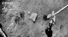 挖土完畢 打包回家