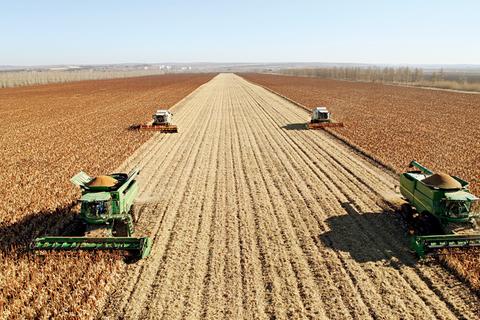 真抓實干做好新階段“三農”工作