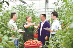 讓群眾在正風反腐中感受到公平正義