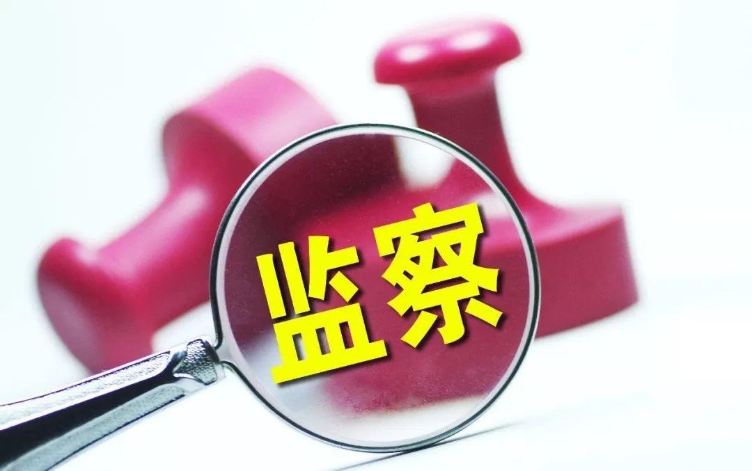 依據(jù)黨章憲法履行監(jiān)督職責