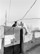 給“騎墻護(hù)士”點(diǎn)個(gè)贊