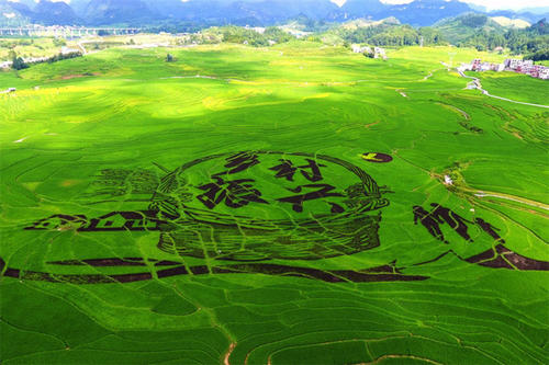 2021年中央一號文件公布 提出全面推進(jìn)鄉(xiāng)村振興