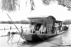 從黨的百年歷史中汲取智慧和力量