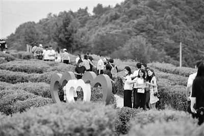 保障脫貧攻堅全面勝利