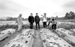 堅持問題導向 做實基層監(jiān)督