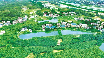 中國共產黨繼承和發(fā)展中華優(yōu)秀傳統(tǒng)思想所蘊含的生態(tài)自然理論，提出“綠水青山就是金山銀山”的理念，推動形成人與自然和諧發(fā)展現(xiàn)代化建設新格局。圖為風景如畫的江西贛州會昌縣綿江河畔。（圖片來源：人民視覺）