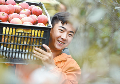 擲地有聲好政策(政策解讀·特別策劃)
