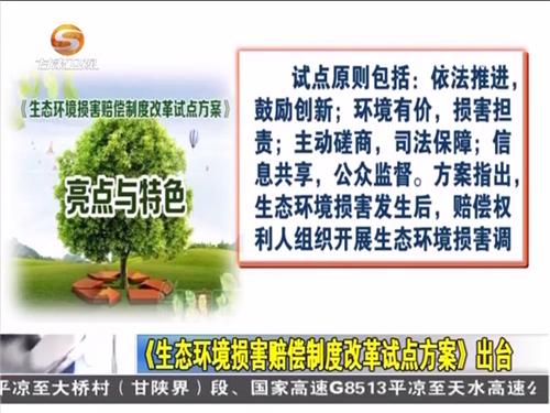 中辦國辦印發(fā)《生態(tài)環(huán)境損害賠償制度改革方案》