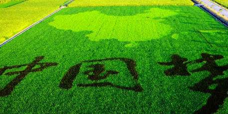 真抓實干補短板