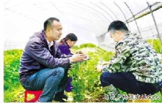 范小敏用短短一年多的時(shí)間，帶領(lǐng)貧困村成功脫貧“摘帽”