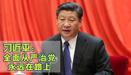 把全面從嚴(yán)治黨引向深入