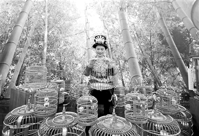 近日，在“中國丹寨非遺周”活動中，“非遺”傳承人展示鳥籠制作技藝。新華社發(fā)（黃曉海 攝）