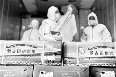 日前，首批已加工蒙古國捐贈羊開始運往湖北，圖為工作人員在集裝箱冷鏈車前忙碌。新華社記者 劉磊 攝
